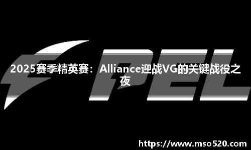 2025赛季精英赛：Alliance迎战VG的关键战役之夜
